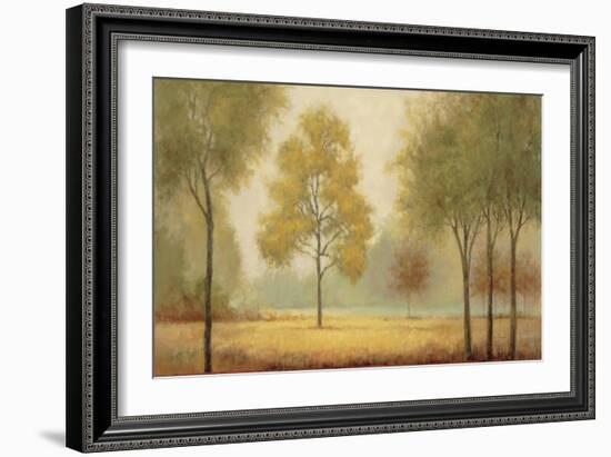 Tranquil Panorama-Jill Schultz McGannon-Framed Art Print