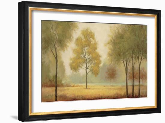 Tranquil Panorama-Jill Schultz McGannon-Framed Art Print