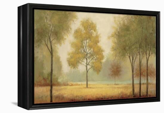 Tranquil Panorama-Jill Schultz McGannon-Framed Stretched Canvas