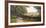 Tranquil Pasture-David Morgan-Framed Giclee Print