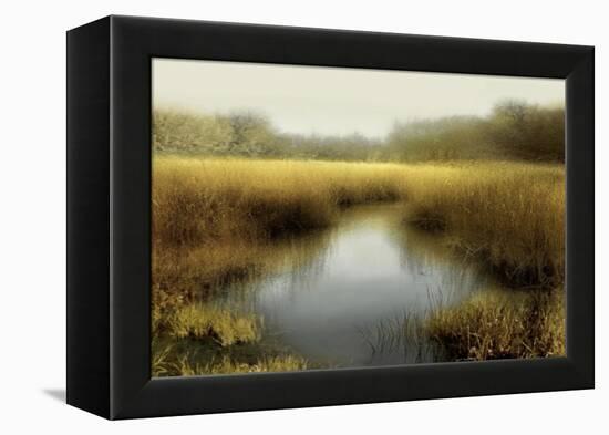 Tranquil Pond-Madeline Clark-Framed Stretched Canvas