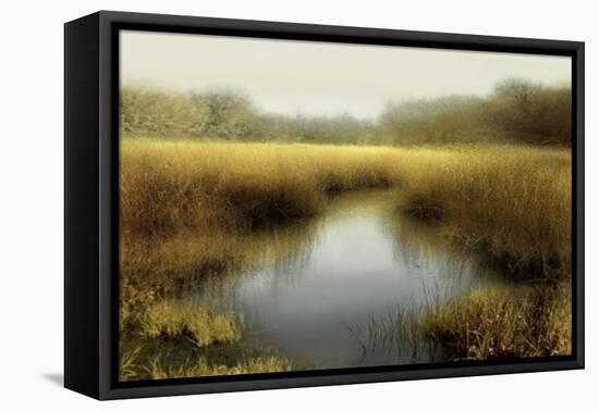 Tranquil Pond-Madeline Clark-Framed Stretched Canvas