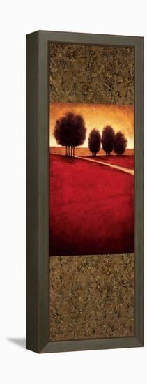 Tranquil Radiance I-Gregory Williams-Framed Stretched Canvas