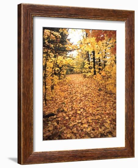 Tranquil Road with Fall Colors in New England-Bill Bachmann-Framed Photographic Print