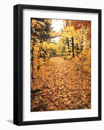 Tranquil Road with Fall Colors in New England-Bill Bachmann-Framed Photographic Print