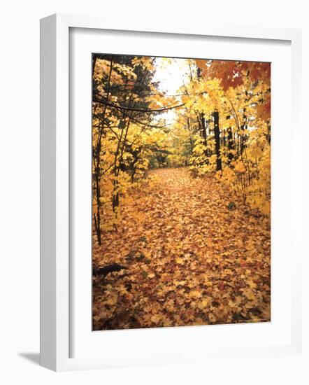 Tranquil Road with Fall Colors in New England-Bill Bachmann-Framed Photographic Print