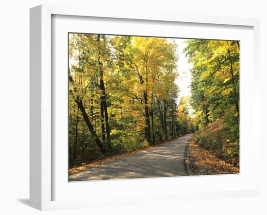 Tranquil Road with Fall Colors, Vermont, USA-Bill Bachmann-Framed Photographic Print