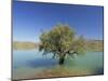 Tranquil Scene of Landscape of an Olive Tree on the Edge of a Lake Near Malaga, Andalucia, Spain-Michael Busselle-Mounted Photographic Print
