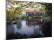 Premium Photographic Print