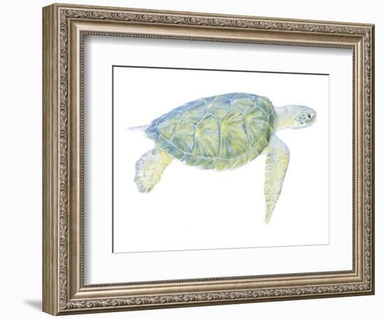 Tranquil Sea Turtle I-Megan Meagher-Framed Art Print