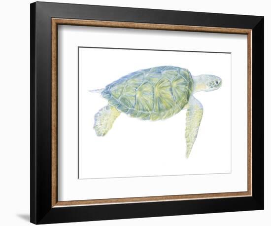 Tranquil Sea Turtle I-Megan Meagher-Framed Art Print