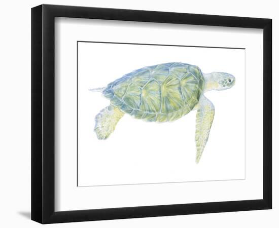 Tranquil Sea Turtle I-Megan Meagher-Framed Art Print