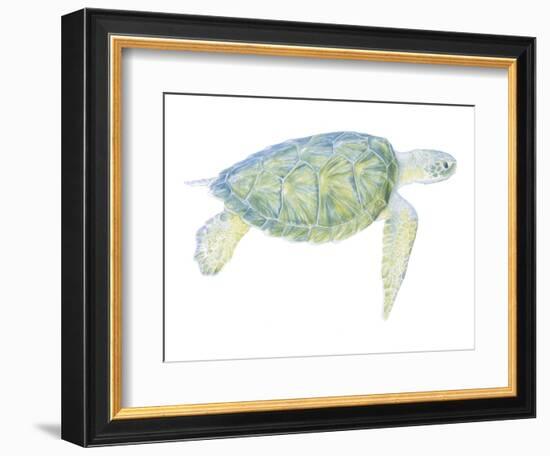 Tranquil Sea Turtle I-Megan Meagher-Framed Premium Giclee Print