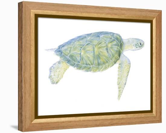 Tranquil Sea Turtle I-Megan Meagher-Framed Stretched Canvas