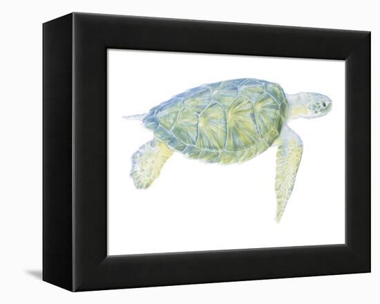 Tranquil Sea Turtle I-Megan Meagher-Framed Stretched Canvas