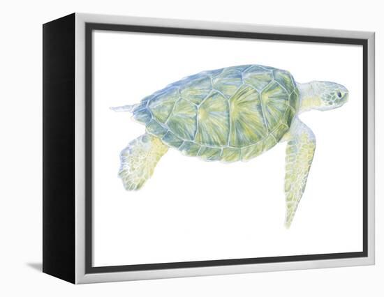 Tranquil Sea Turtle I-Megan Meagher-Framed Stretched Canvas