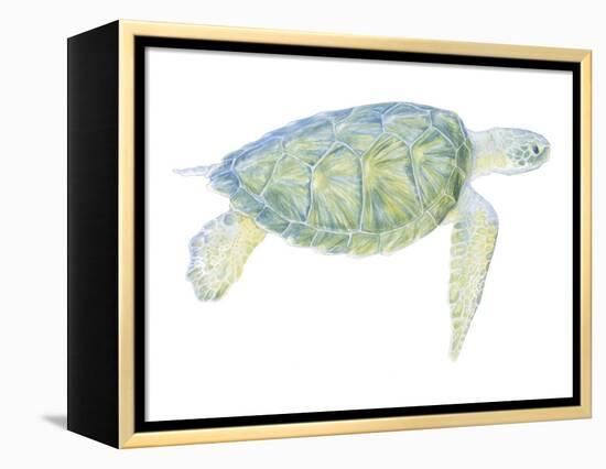 Tranquil Sea Turtle I-Megan Meagher-Framed Stretched Canvas