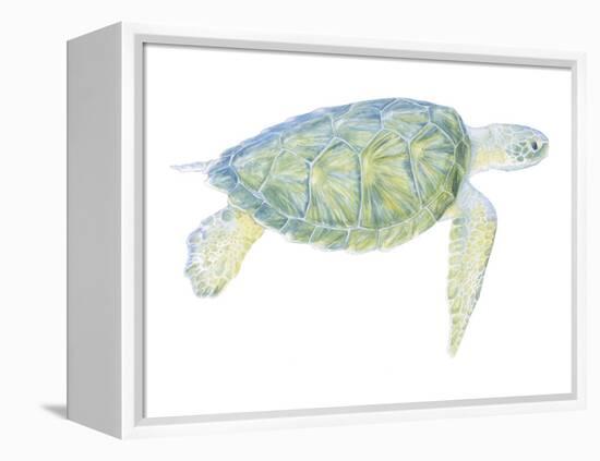 Tranquil Sea Turtle I-Megan Meagher-Framed Stretched Canvas