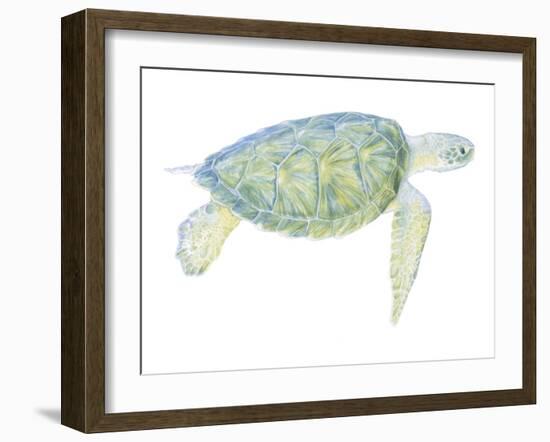 Tranquil Sea Turtle I-Megan Meagher-Framed Art Print