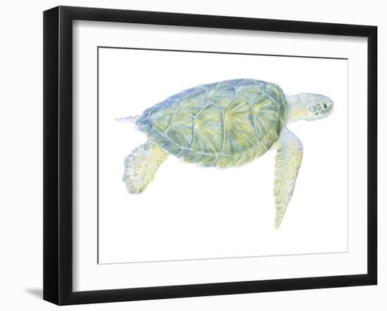 Tranquil Sea Turtle I-Megan Meagher-Framed Art Print