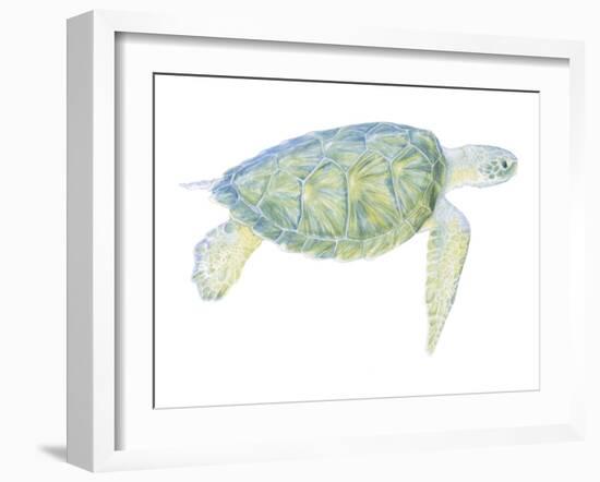 Tranquil Sea Turtle I-Megan Meagher-Framed Art Print