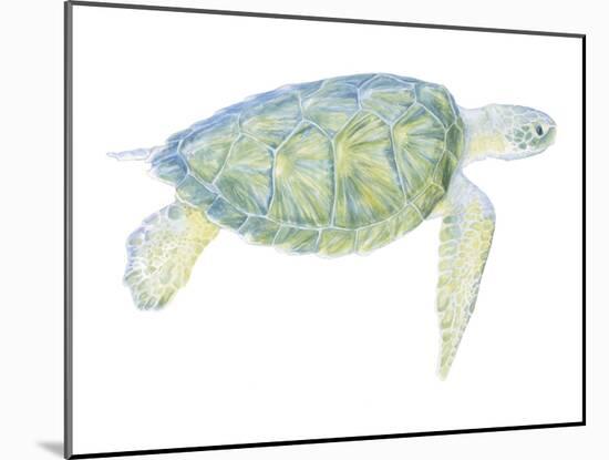 Tranquil Sea Turtle I-Megan Meagher-Mounted Art Print