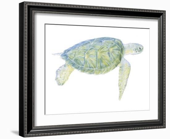 Tranquil Sea Turtle I-Megan Meagher-Framed Art Print