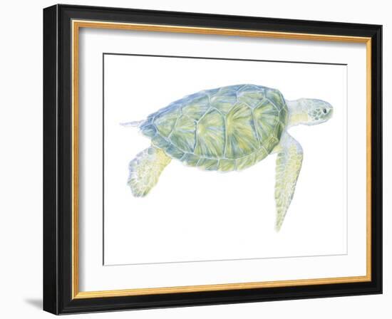 Tranquil Sea Turtle I-Megan Meagher-Framed Art Print