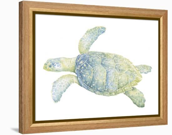 Tranquil Sea Turtle II-Megan Meagher-Framed Stretched Canvas