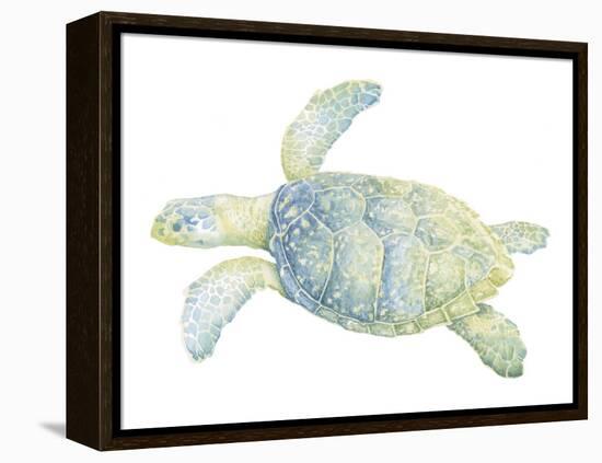 Tranquil Sea Turtle II-Megan Meagher-Framed Stretched Canvas