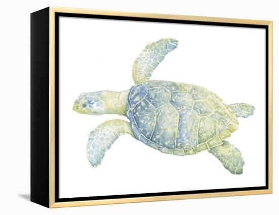 Tranquil Sea Turtle II-Megan Meagher-Framed Stretched Canvas