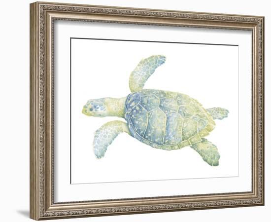 Tranquil Sea Turtle II-Megan Meagher-Framed Art Print