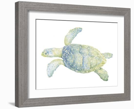 Tranquil Sea Turtle II-Megan Meagher-Framed Art Print