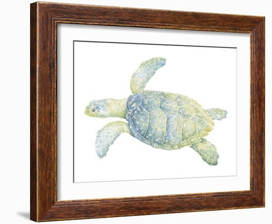 Tranquil Sea Turtle II-Megan Meagher-Framed Art Print