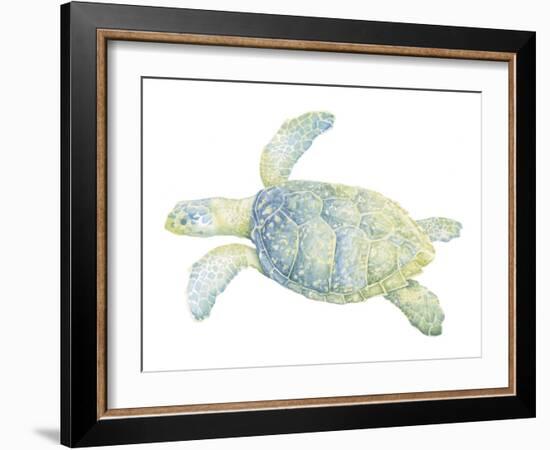 Tranquil Sea Turtle II-Megan Meagher-Framed Art Print