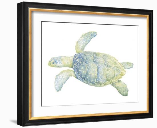 Tranquil Sea Turtle II-Megan Meagher-Framed Art Print