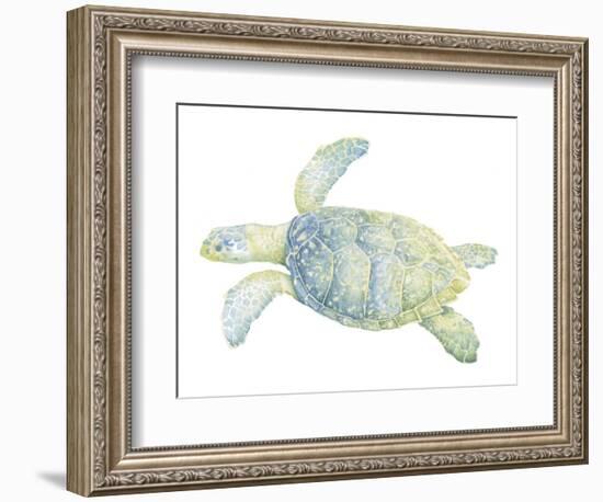 Tranquil Sea Turtle II-Megan Meagher-Framed Premium Giclee Print
