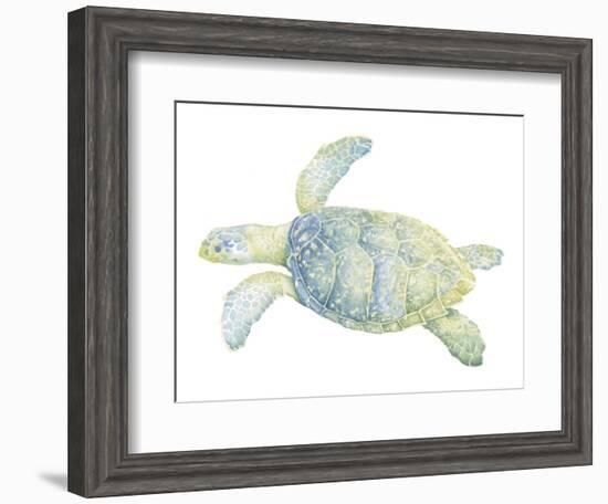 Tranquil Sea Turtle II-Megan Meagher-Framed Art Print