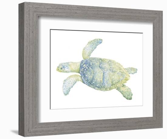 Tranquil Sea Turtle II-Megan Meagher-Framed Art Print