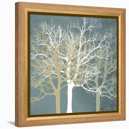 Tranquil Trees-Erin Clark-Framed Premier Image Canvas