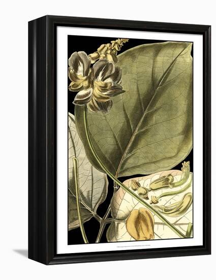 Tranquil Tropical Leaves I-Vision Studio-Framed Stretched Canvas