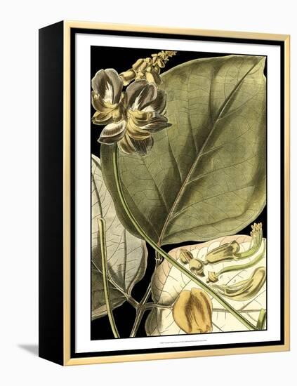 Tranquil Tropical Leaves I-Vision Studio-Framed Stretched Canvas