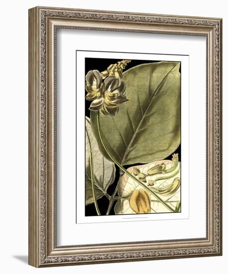 Tranquil Tropical Leaves I-Vision Studio-Framed Art Print