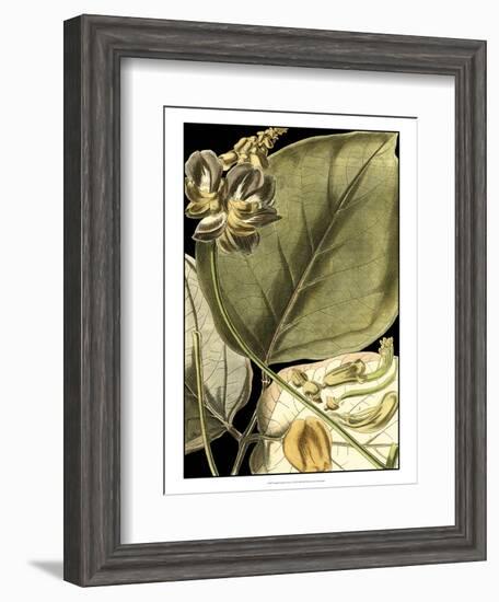 Tranquil Tropical Leaves I-Vision Studio-Framed Art Print