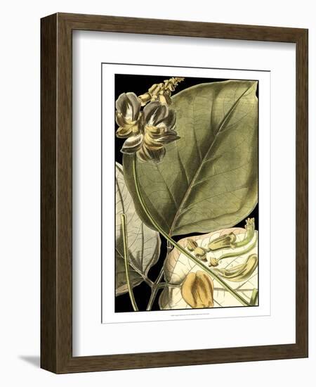 Tranquil Tropical Leaves I-Vision Studio-Framed Art Print