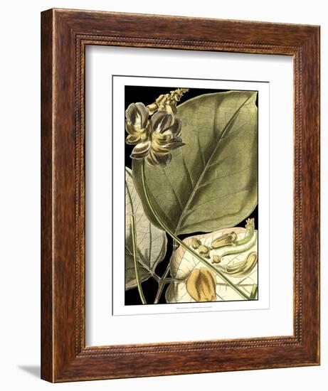 Tranquil Tropical Leaves I-Vision Studio-Framed Art Print