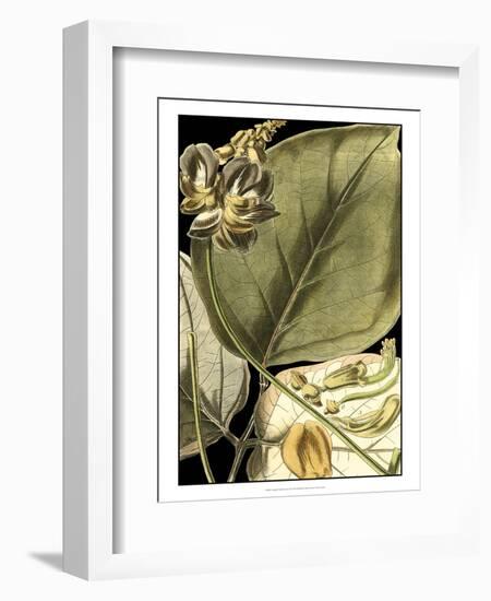 Tranquil Tropical Leaves I-Vision Studio-Framed Art Print