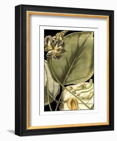 Tranquil Tropical Leaves I-Vision Studio-Framed Art Print