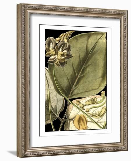 Tranquil Tropical Leaves I-Vision Studio-Framed Art Print