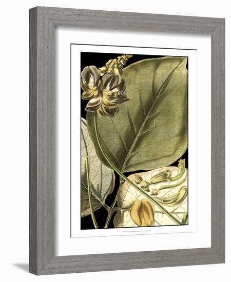 Tranquil Tropical Leaves I-Vision Studio-Framed Art Print